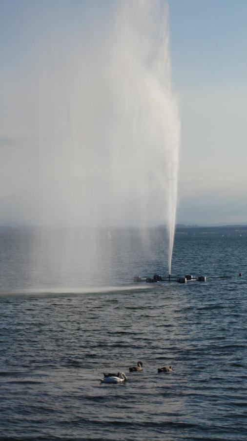 Ferienwohnungen Am Uferpark Blaser Friedrichshafen Exteriér fotografie